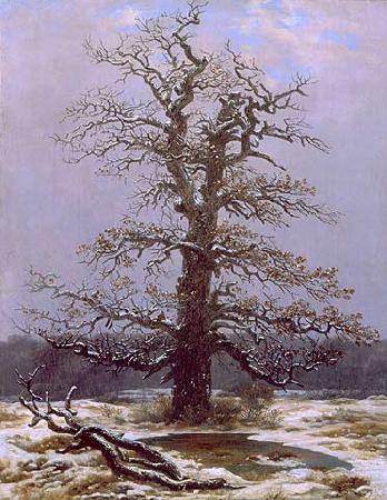 Caspar David Friedrich Dab na sniegu oil painting image